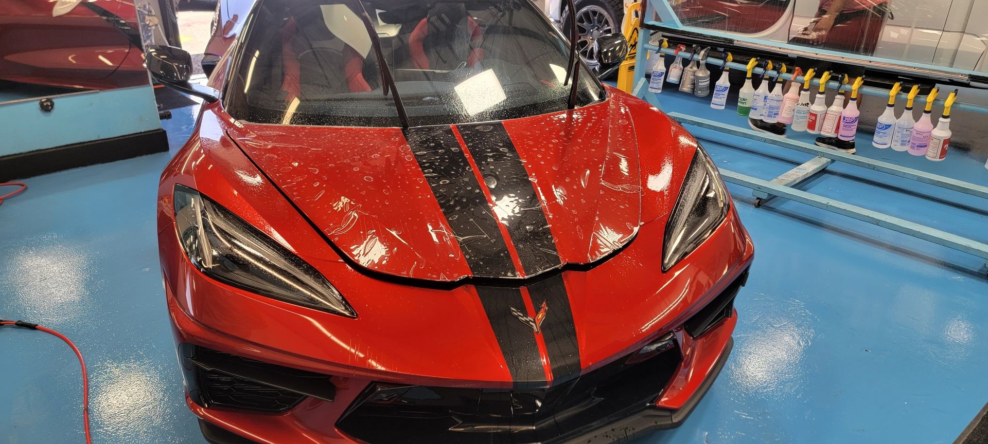 Paint Protection Film